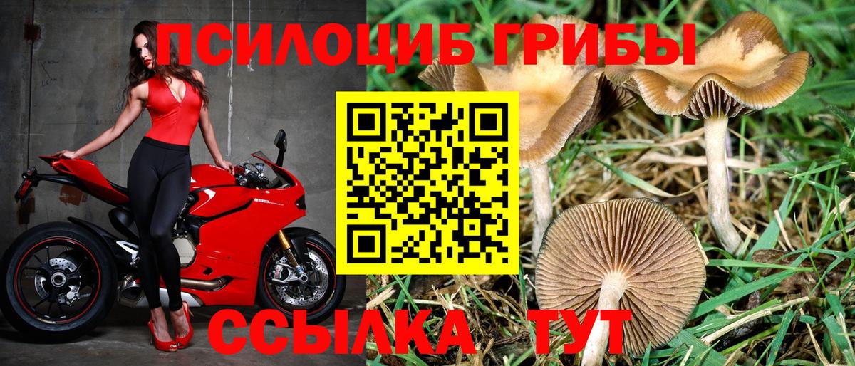 Псилоцибиновые грибы MAGIC MUSHROOMS  Псилоцибиновые грибы мицелий  Ейск  Вход с VPN 