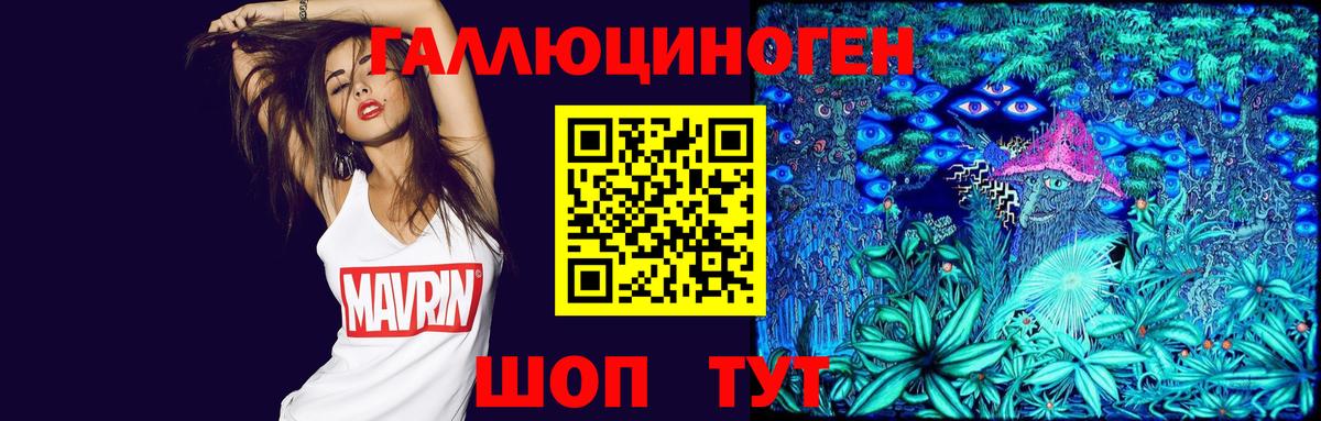 Псилоцибиновые грибы Psilocybine cubensis Ейск